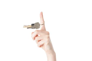 31533063 m normal none